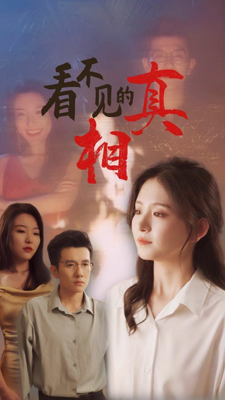 看不见的真相 第21-40集