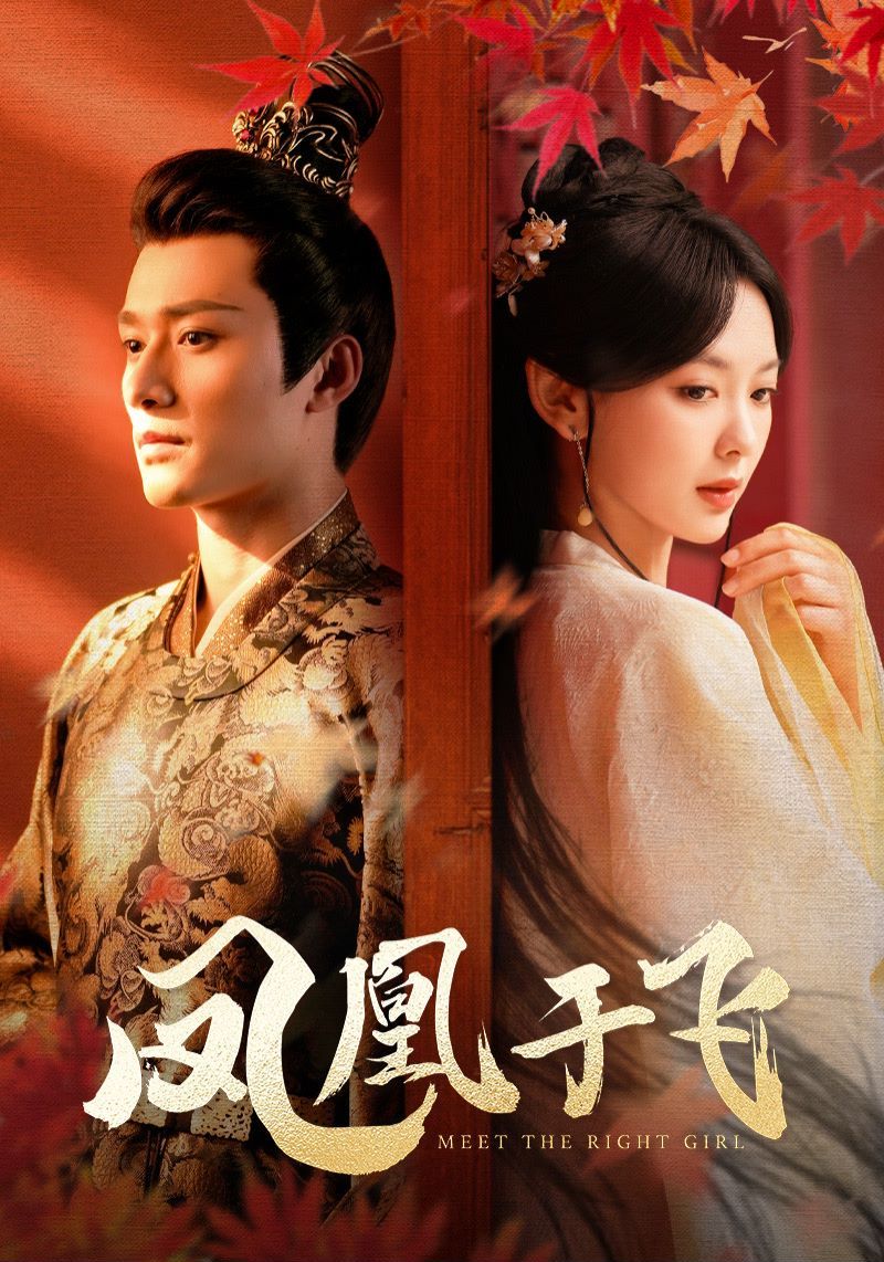 凤凰于飞 第21-40集