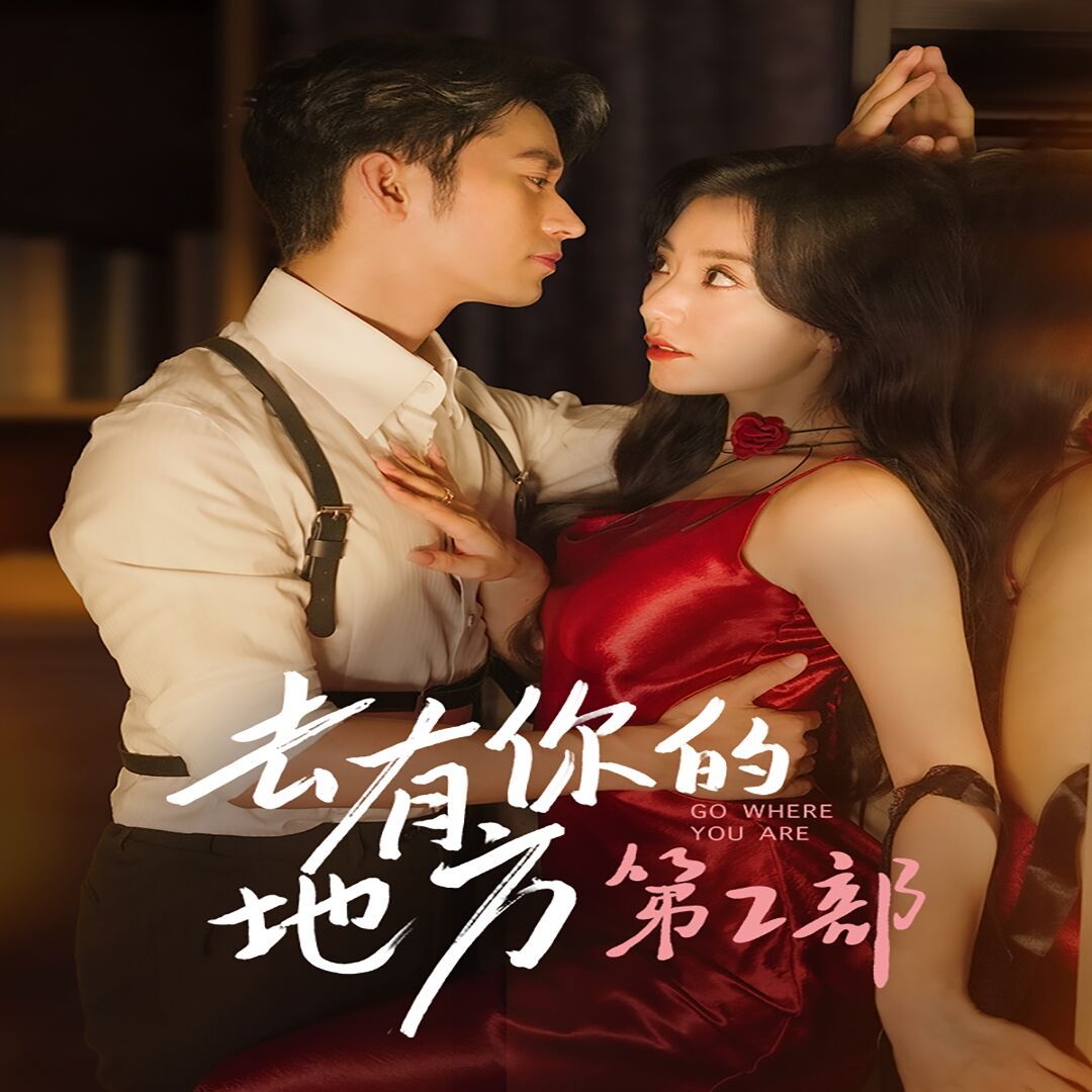 去有你的地方第2部 第61-73集完结(大结局)