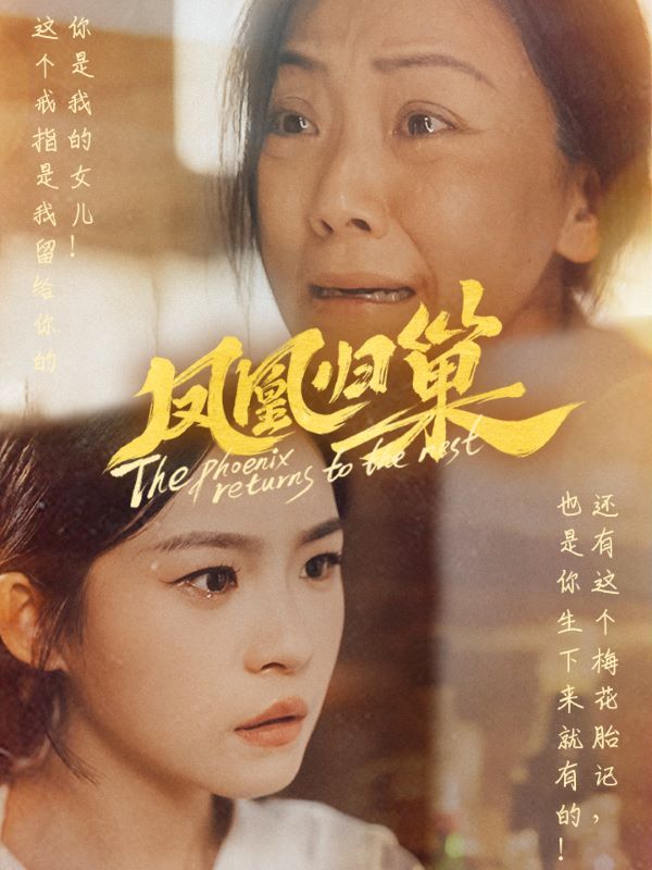 凤凰归巢 第21-40集