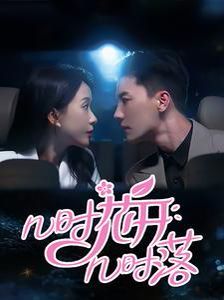 几时花开几时落 第21-40集