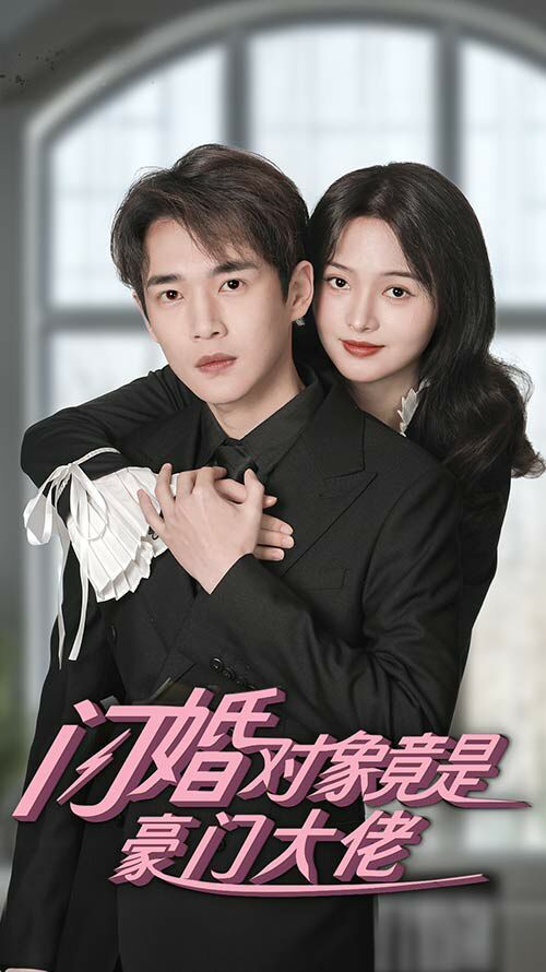 闪婚对象竟是豪门大佬 第41-60集