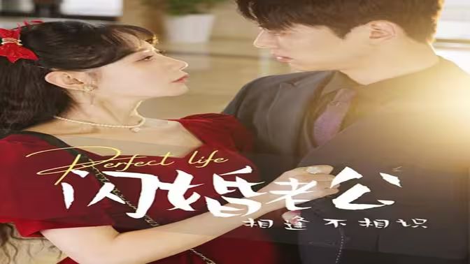闪婚老公相逢不相识 第21-40集