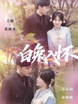 白兔入怀(全集)