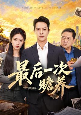 最后一次赡养(全集)